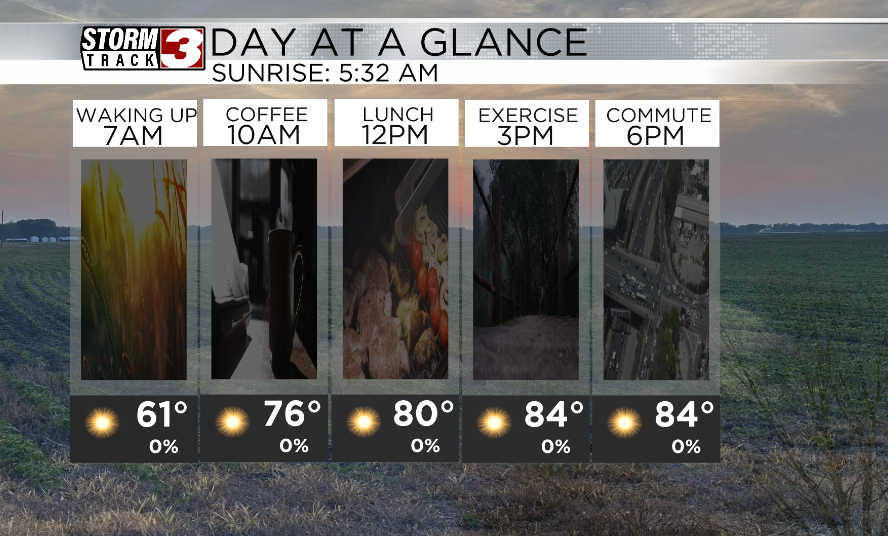 Hourly Forecast